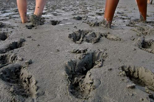 STUCK IN THE MUD